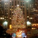 Rockefeller Center Tree