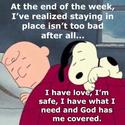 charlie  brown cartoon